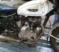 duc3.jpg