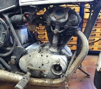 duc2.jpg